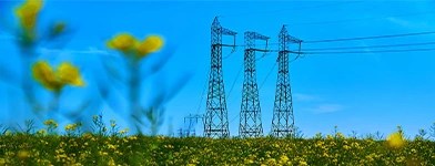 Linii de inalta tensiune traversand un peisaj natural, asigurand distributia energiei electrice