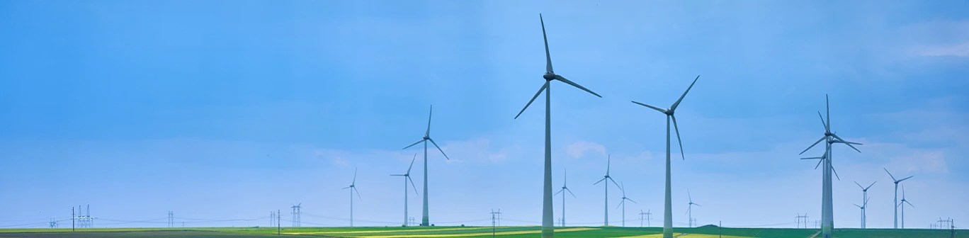 Imaginea ilustreaza turbine eoliene amplasate intr-o zona deschisa, evidentiind tranzitia catre surse de energie verde