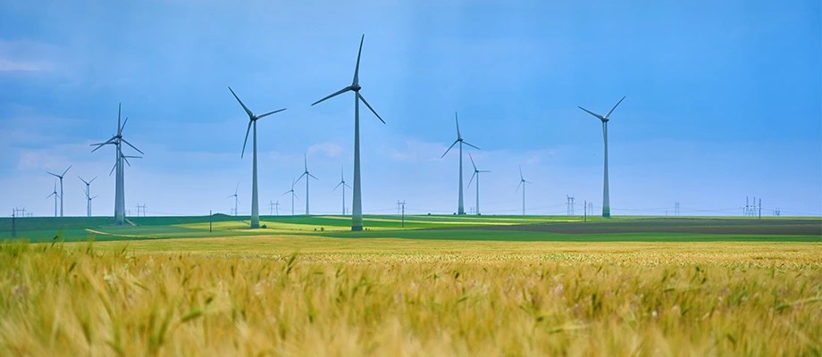 Turbine de vânt care produc energie regenerabilă.