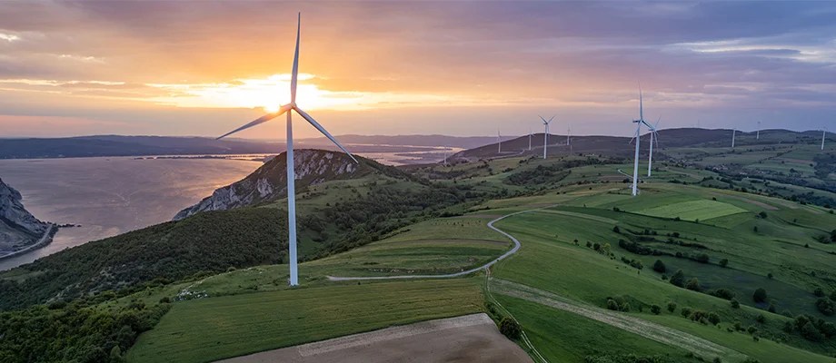 Wind turbine park illustrating renewable energy production.