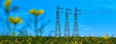 Linii electrice de inalta tensiune traversand o zona rurala, integrate armonios in peisajul natural, evidentiind infrastructura moderna a Retele Electrice.