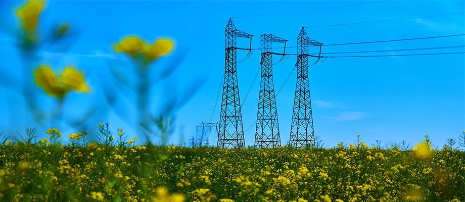 High-voltage poles in a field.
